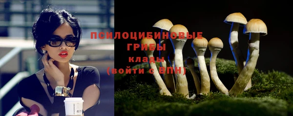 амф Алексин