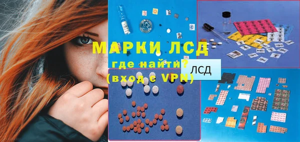 ECSTASY Алзамай