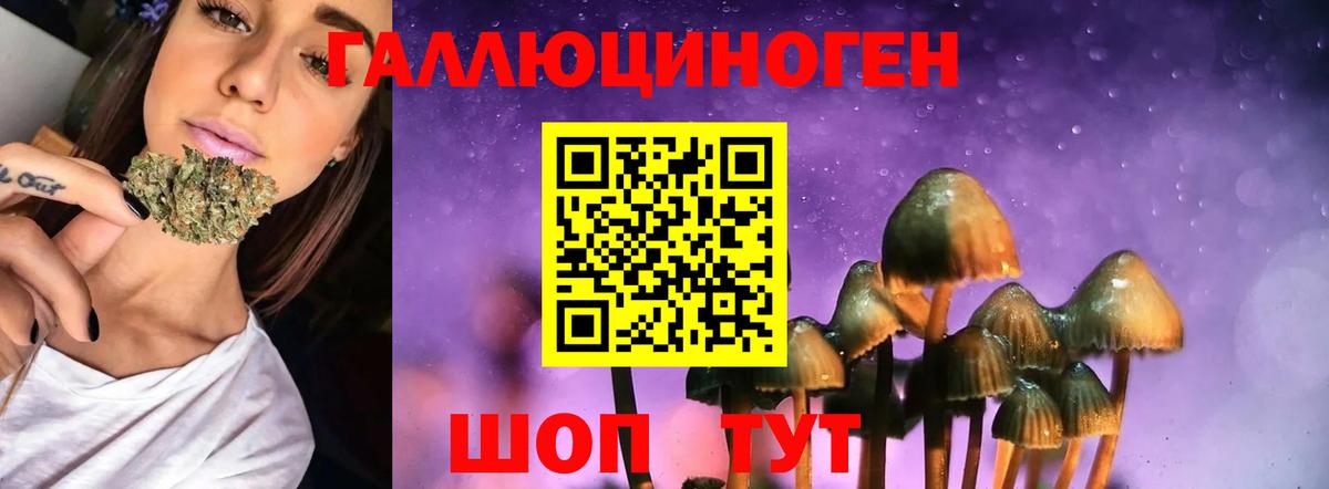 Галлюциногенные грибы прущие грибы  Вход с VPN  Амурск  Псилоцибиновые грибы мухоморы 